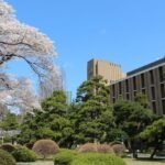 2025 Accredited Japanese Degree Universities Online USA