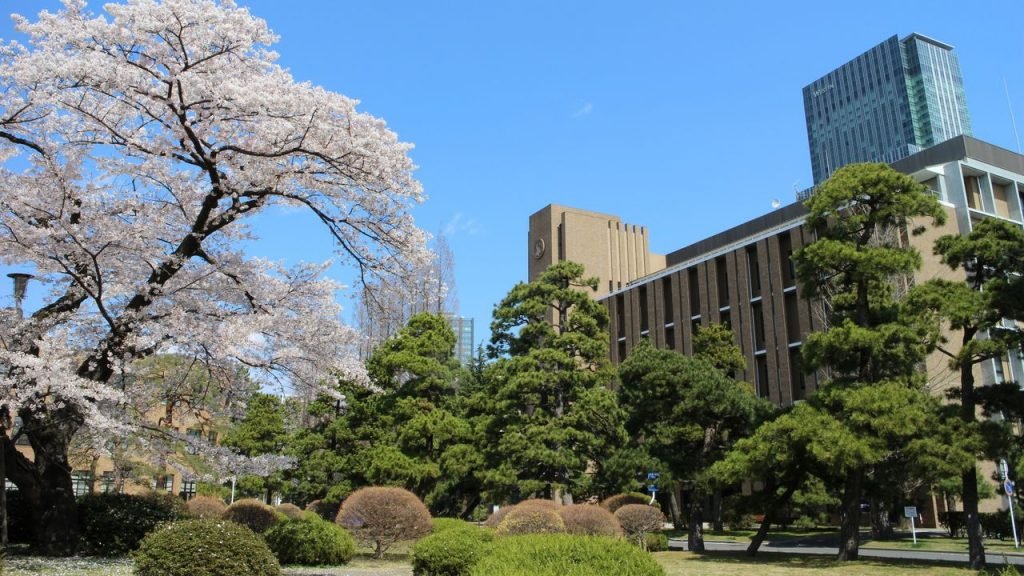 2025 Accredited Japanese Degree Universities Online USA