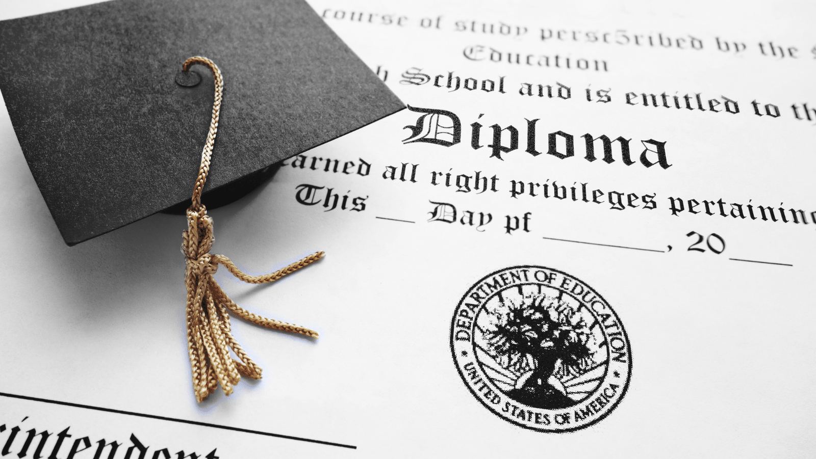 High School Diploma in Sociology